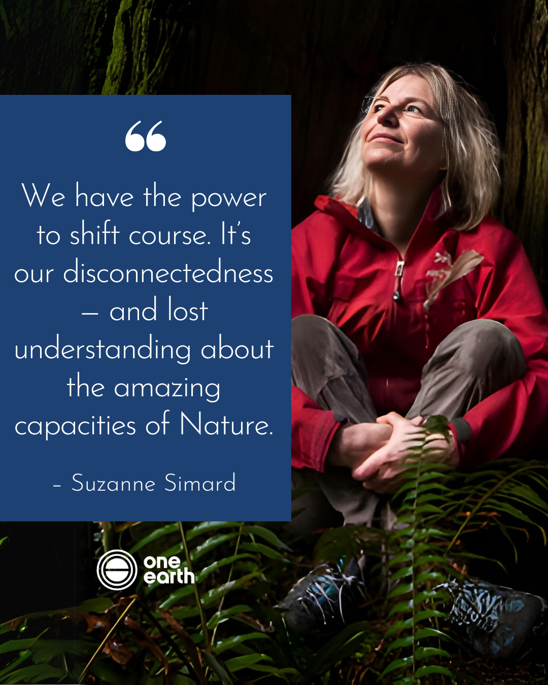 Suzanne Simard's research is guided by her deep connection to the land and her time spent amongst the trees. Image Credit: The Mother Tree Project.