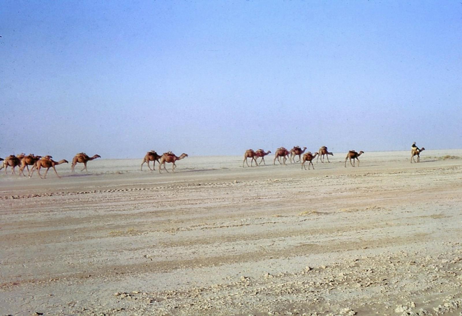 Registan-North Pakistan Sandy Desert