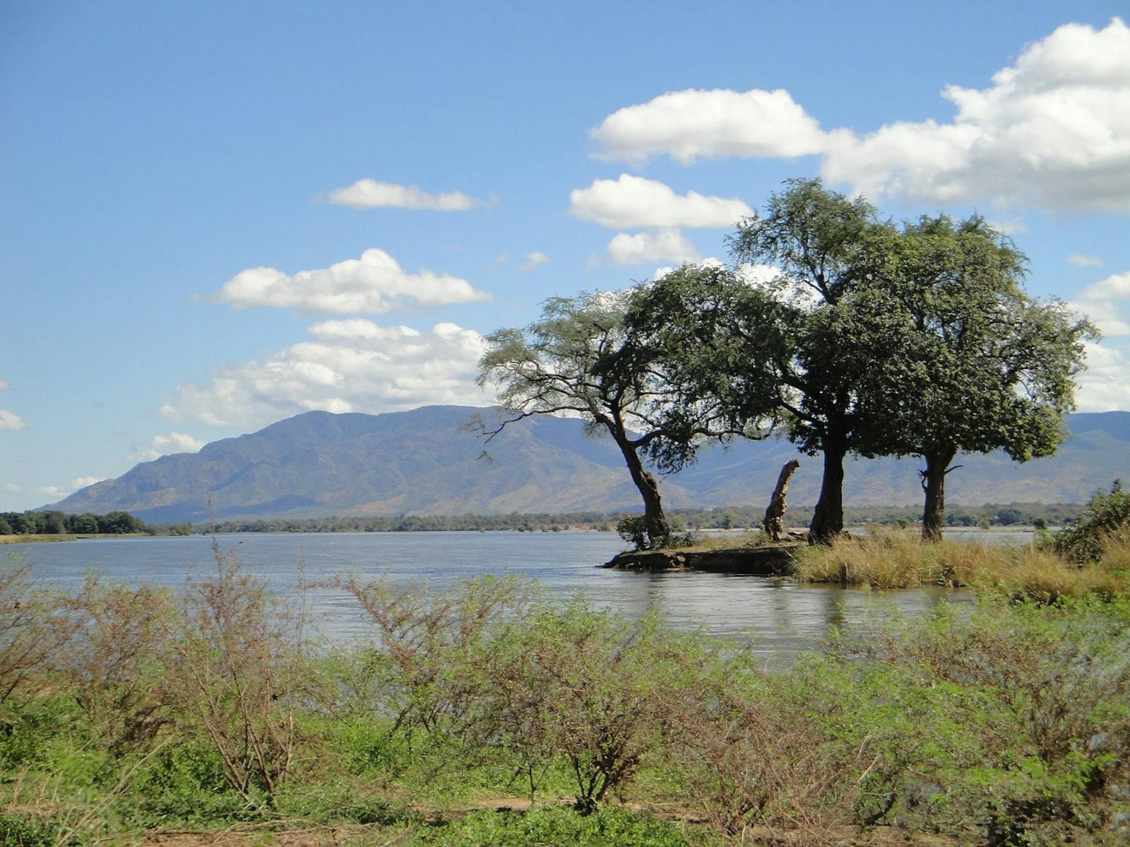 Central Zambezian Wet Miombo Woodlands