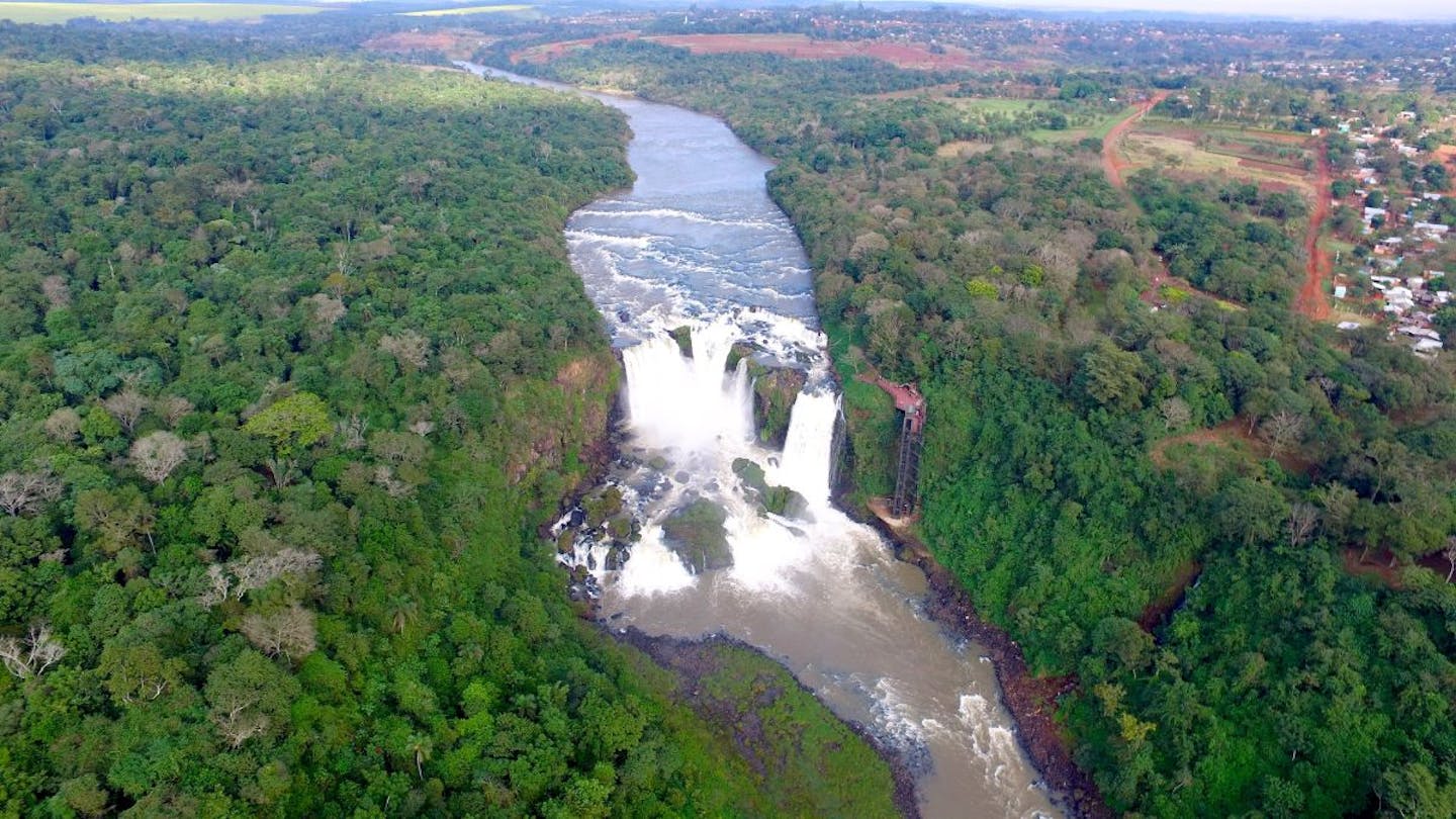 La juventud paraguaya se pone al frente de la defensa de sus selvas tropicales
