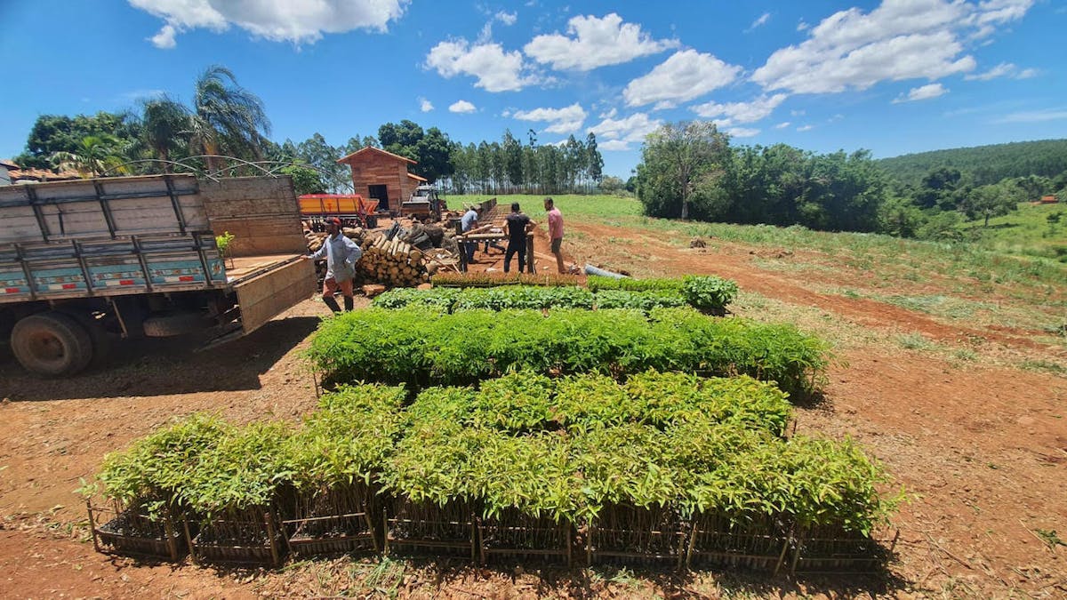 Supporting Smallholder Farmers through Agroforestry Practices that Support the Restoration of Brazil’s Atlantic Forests