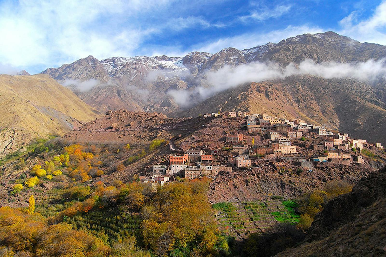 Mediterranean High Atlas Juniper Steppe