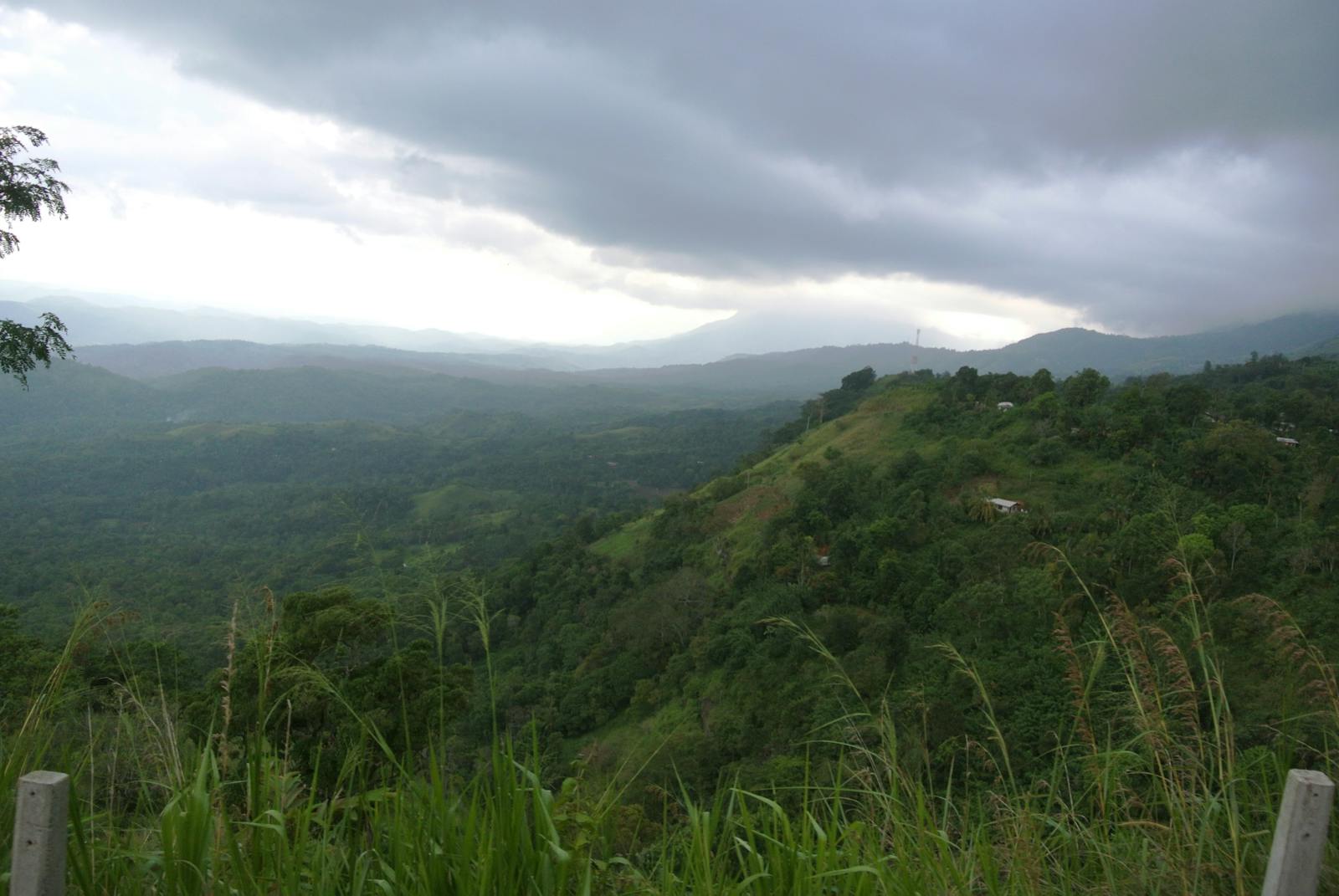 Sri Lanka Lowland Rainforests