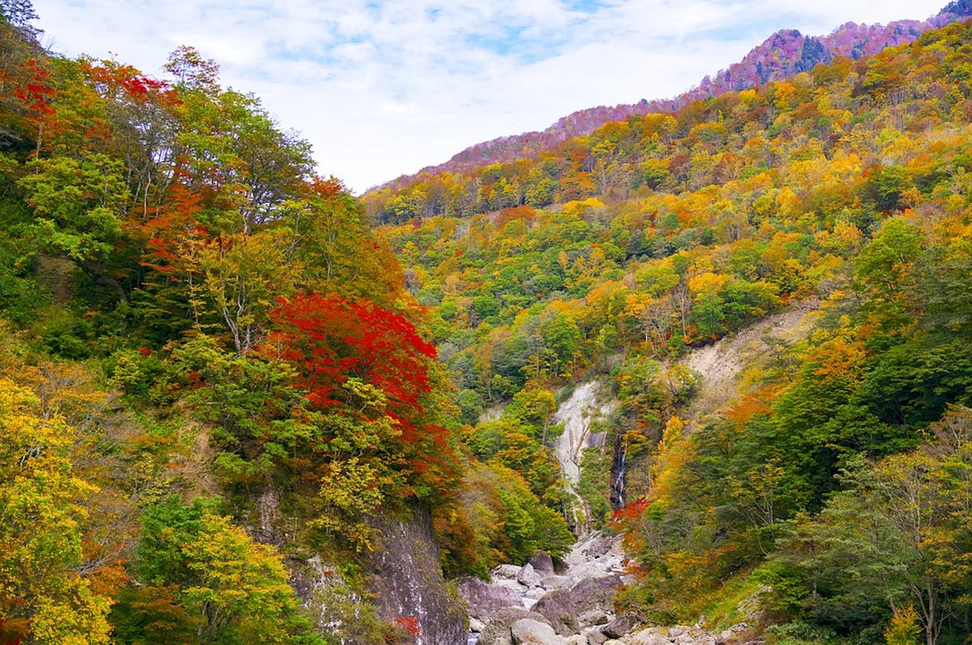 Japan Forest Islands (PA47)