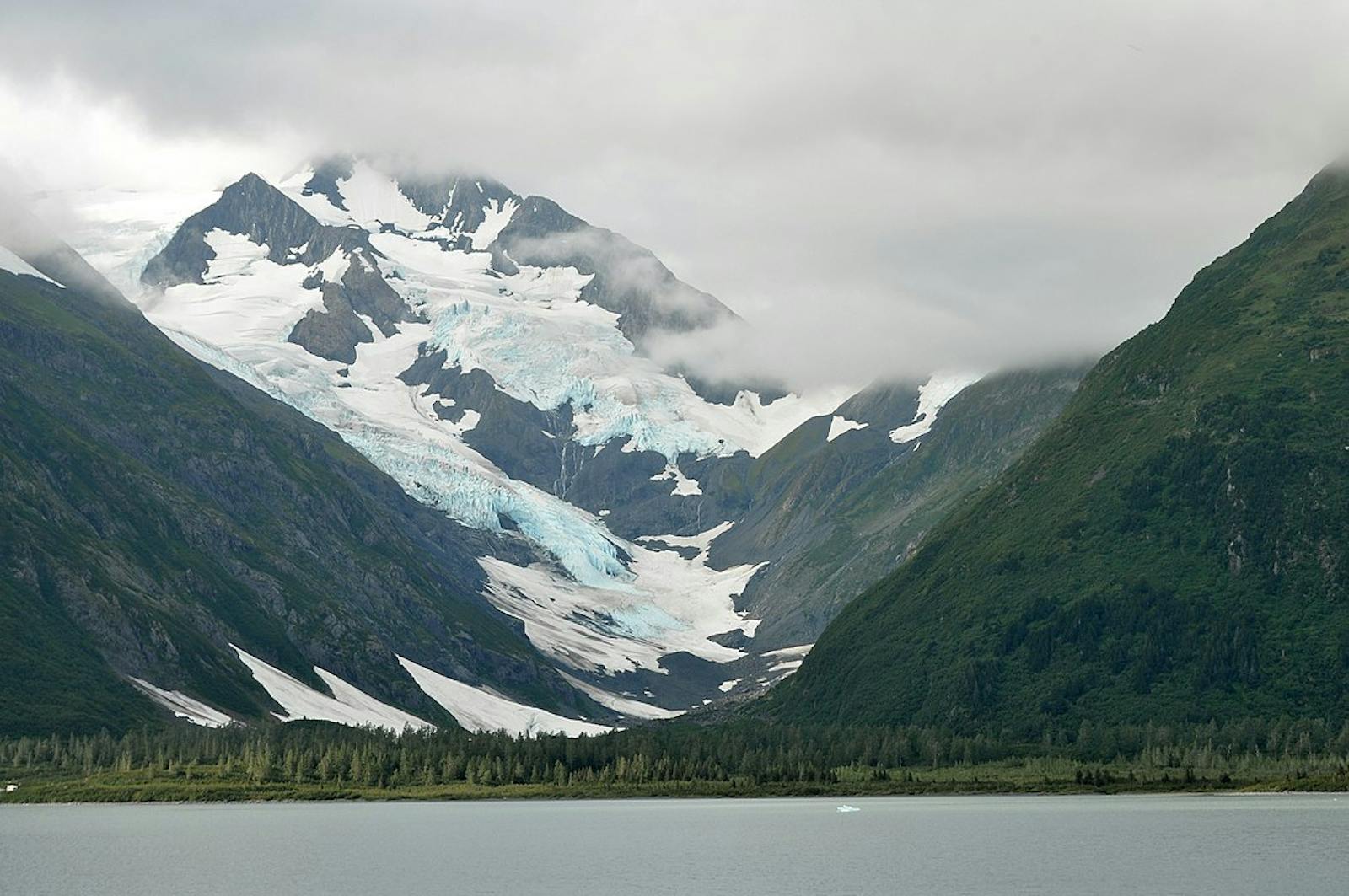 Northern Pacific Alaskan Coastal Forests