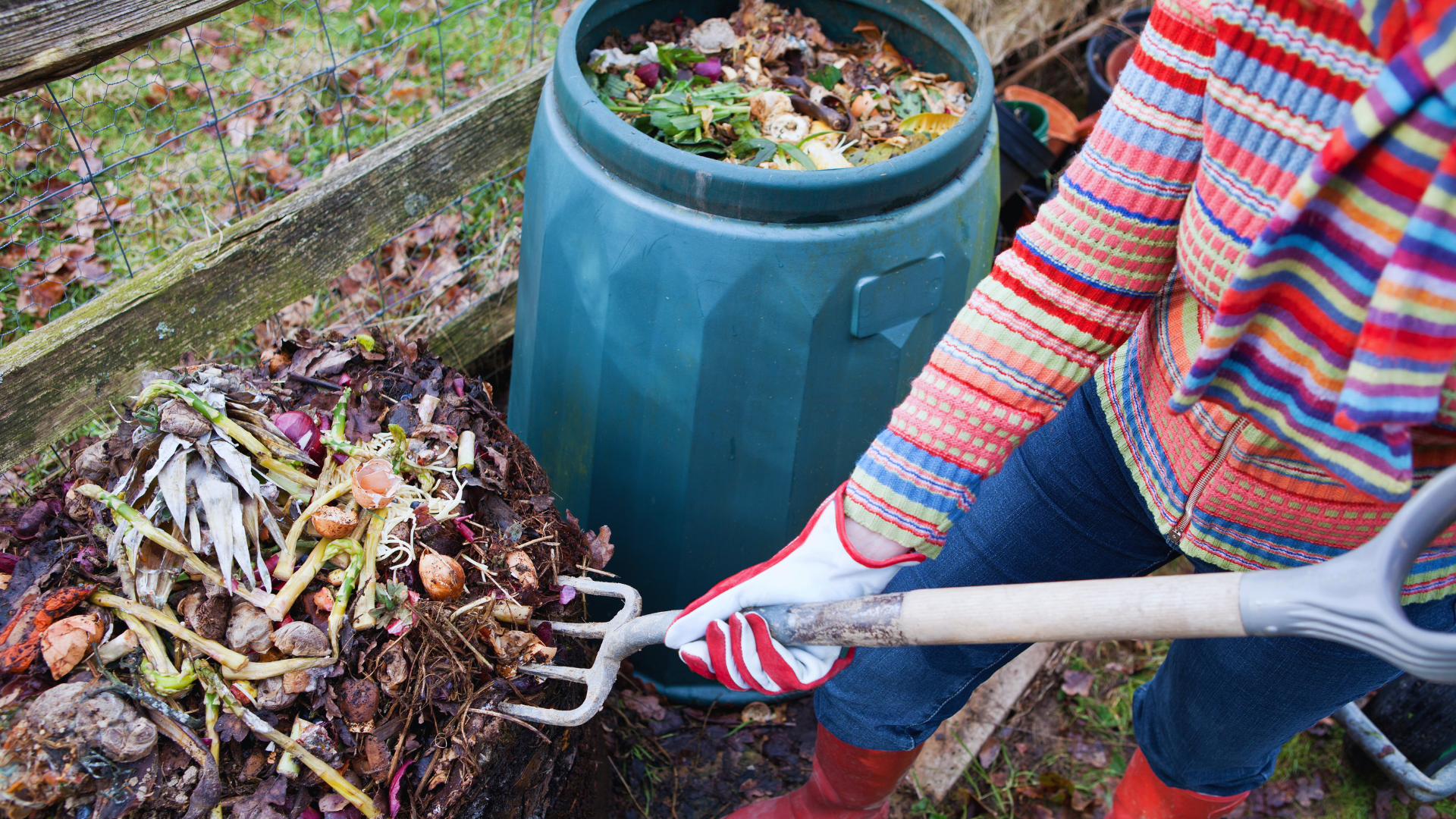 Food waste composting. Image Credit: CJP, from Getty Images Signature via Canva Pro.