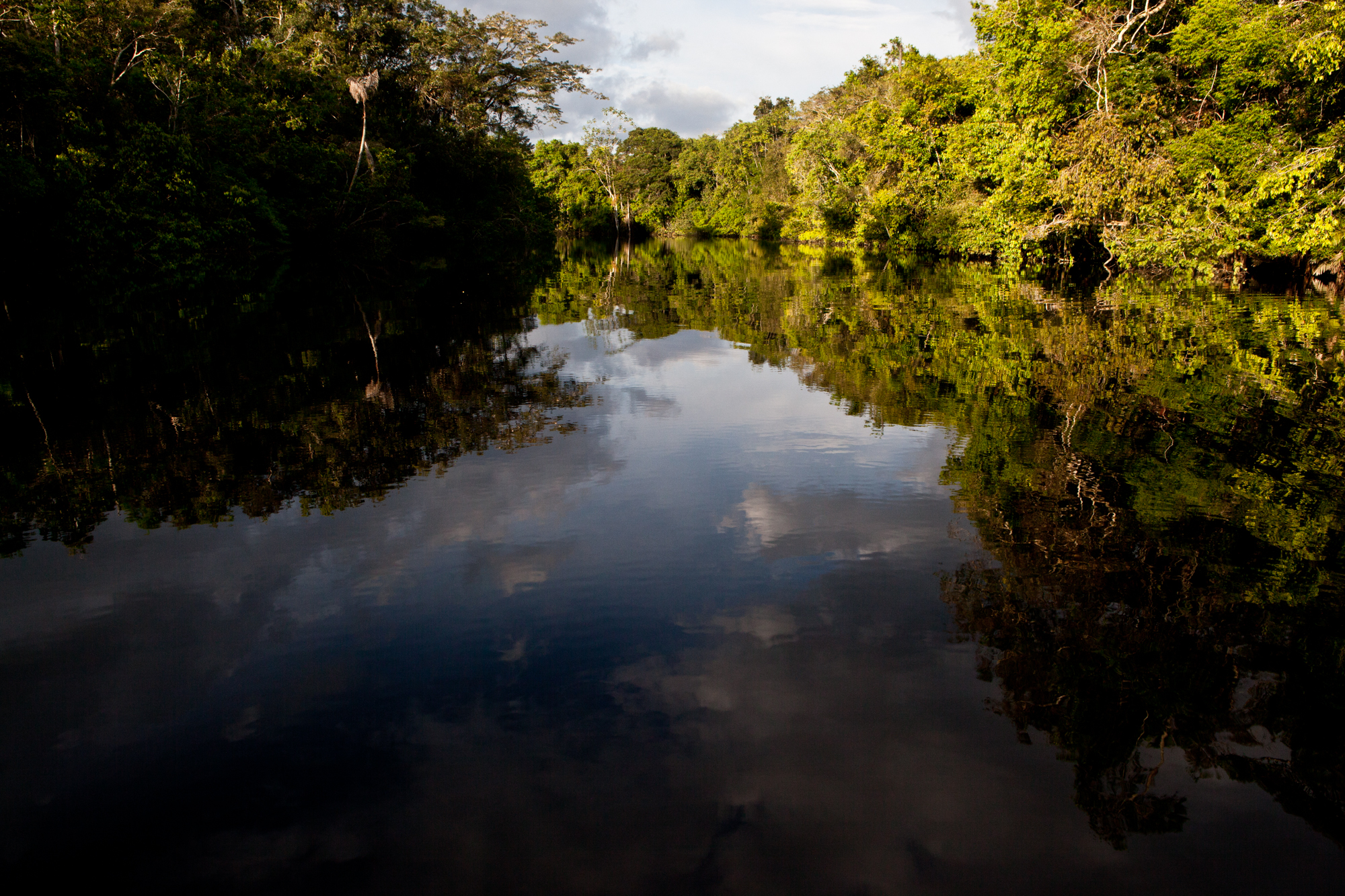 Reclaiming Pë’këya will protect over 100,000 acres of pristine Amazonia. Image Credit: Amazon Frontlines.