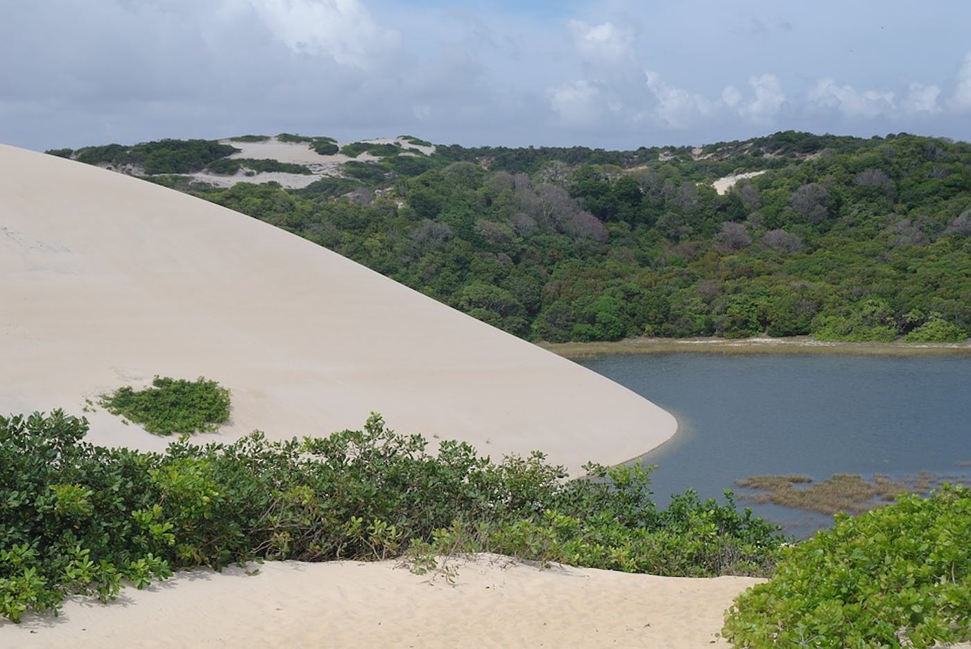 Brazilian Atlantic Moist Forests (NT14)