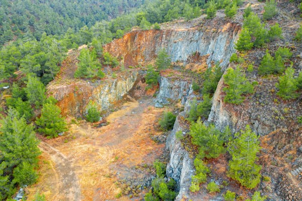 The true cost of global land restoration commitments