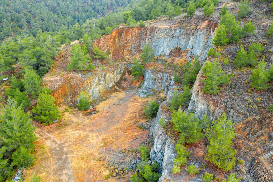 The true cost of global land restoration commitments