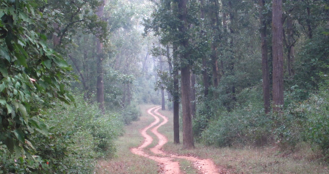 Northern Deccan & Odisha Tropical Forests (IM7)