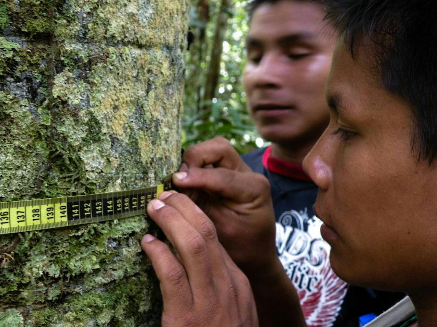 Technology and Indigenous knowledge combine to protect the Amazon