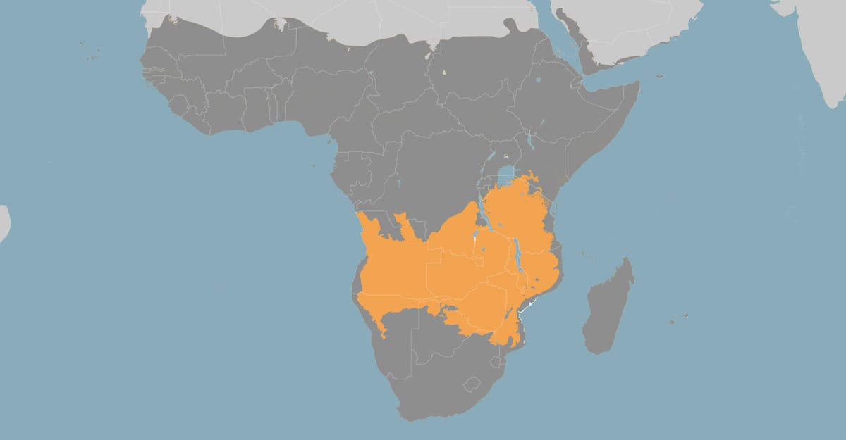 Sub-Equatorial Afrotropics