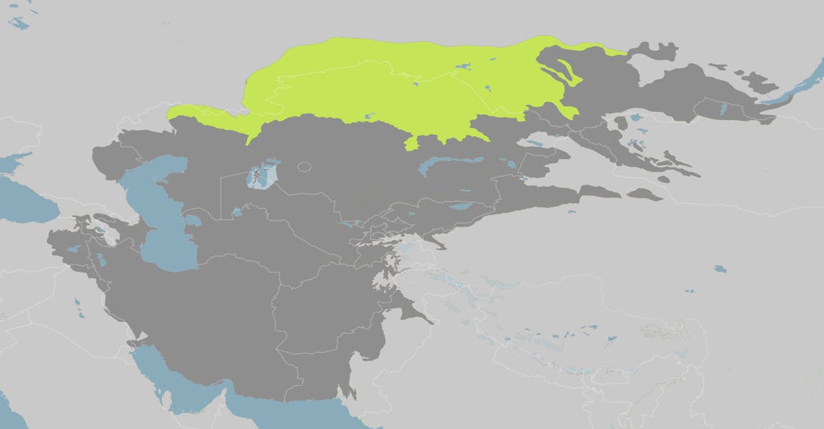 Kazakh Steppes & Hemiboreal Forests