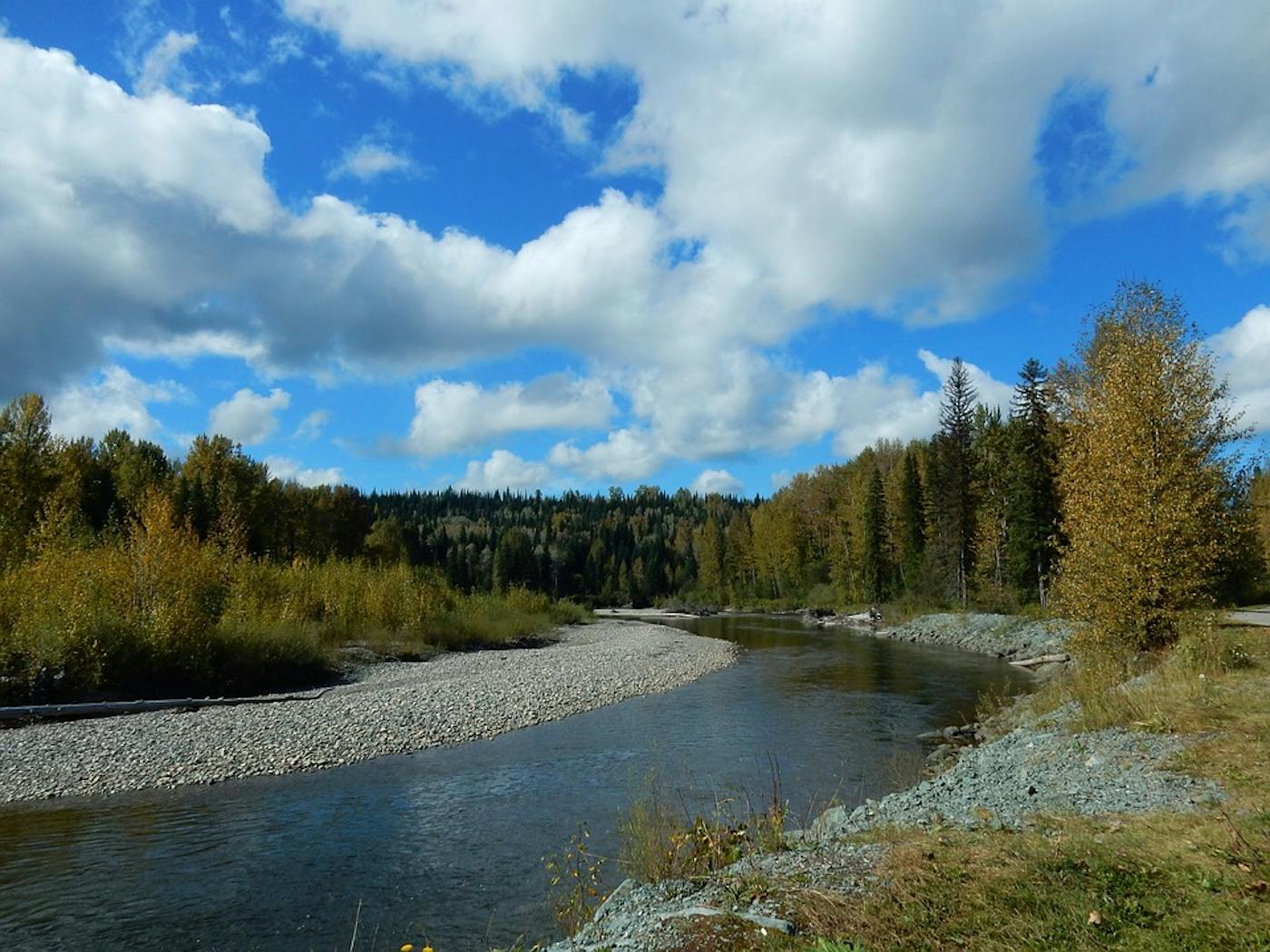 Northwest Intermountain Conifer Forests (NA14)