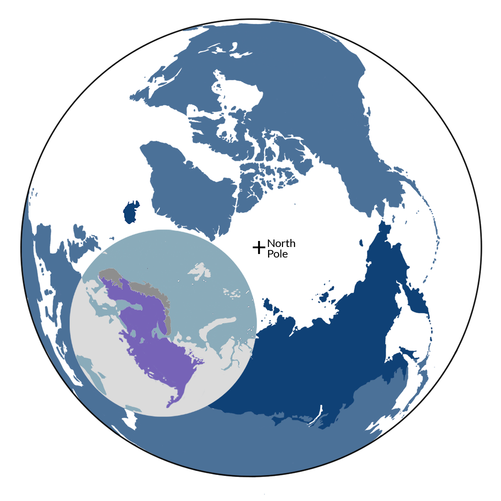 The Ural Mountains & West Eurasian Taiga Forests bioregion (PA8) is part of the Scandinavia & West Boreal Forests subrealm located in the Subarctic Eurasia realm.