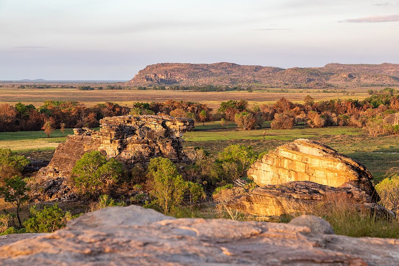 North Australian Tropical Savannas (AU8)