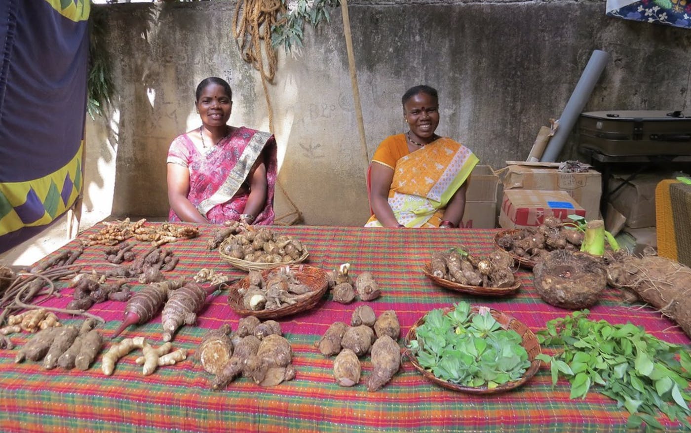 Transferring Traditional Knowledge by Supporting Women to Build Heirloom Seed Businesses in Karnataka, India