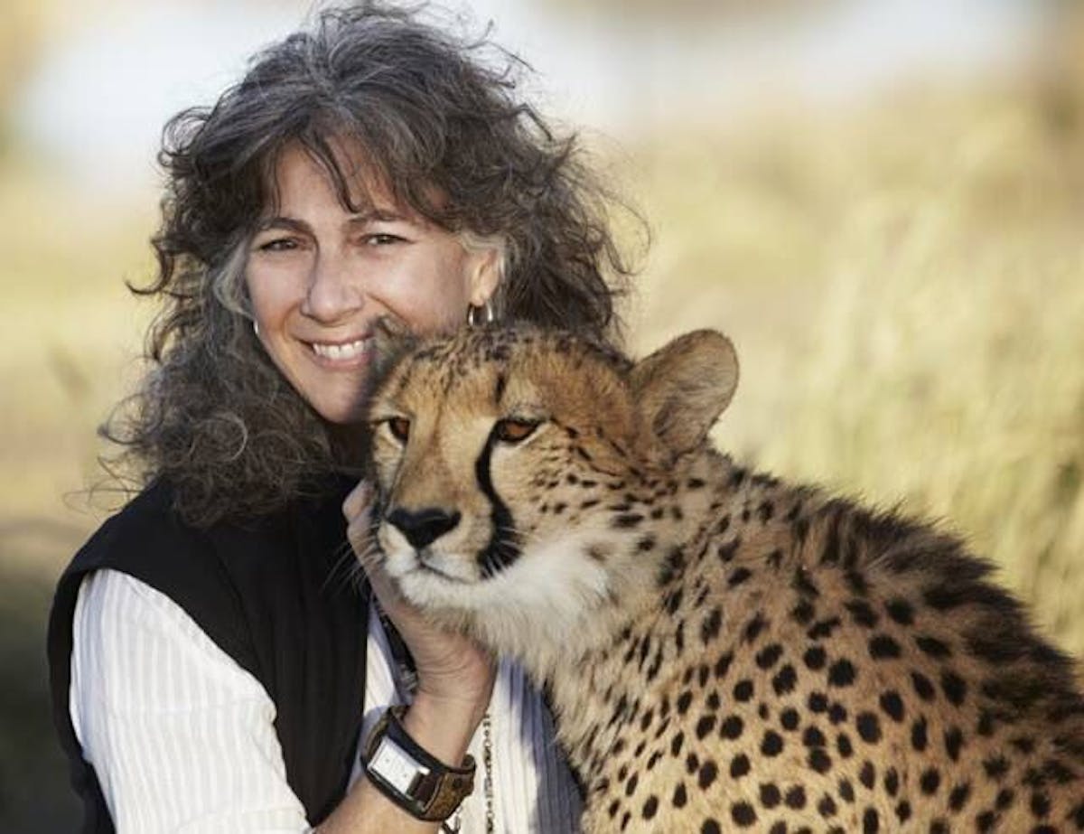 Dr. Laurie Marker and local communities unite to save cheetahs from extinction.