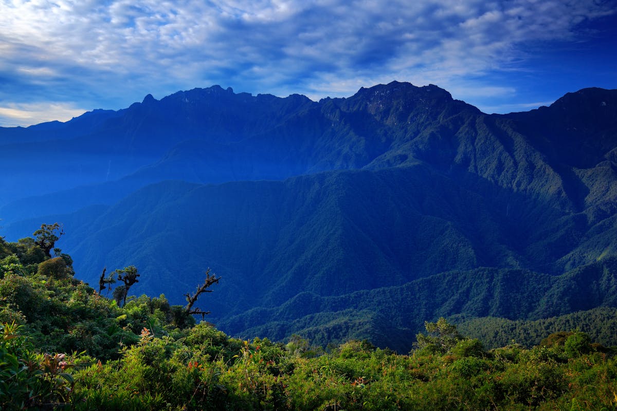 Andes Mountains & Pacific Coast