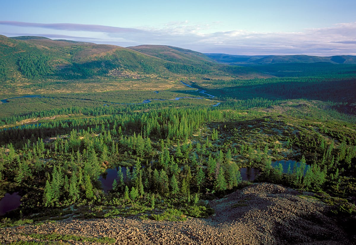 Siberia & East Boreal Forests