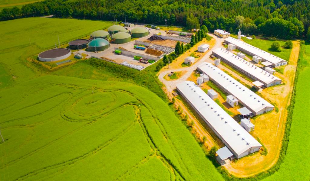 Czech biomass plant/farm. Photo: Dreamstime