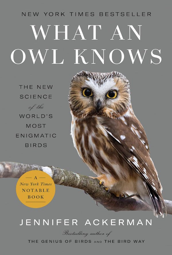 What an Owl Knows: The new science of the world’s most enigmatic birds