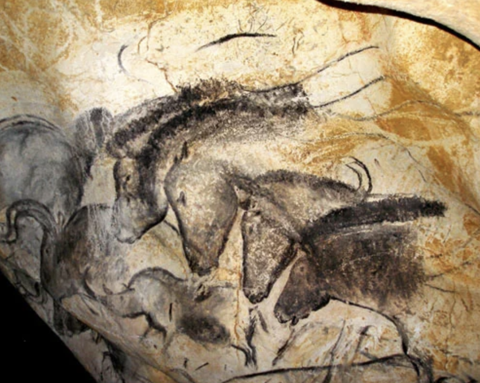 Horse paintings, including the Przewalski's horse, found in the Chauvet Cave, Ardèche, France. Dated from 31,000 years ago. Image Credit: Pline, Wiki Commons.