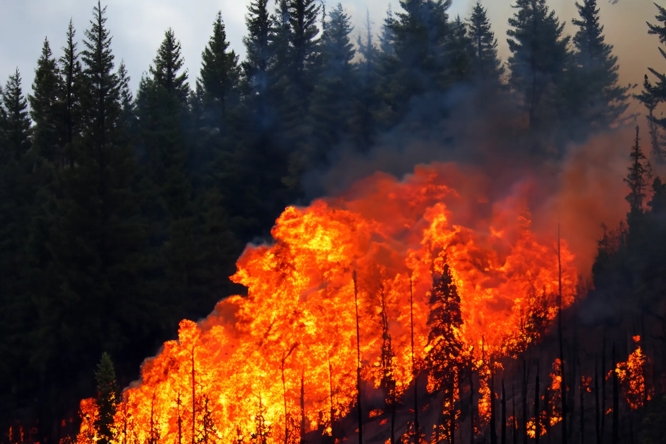 Canadian fires. Image Credit: © Fernando Astasio, Dreamstime. Canadian fires. Image Credit: © Fernando Astasio, Dreamstime.