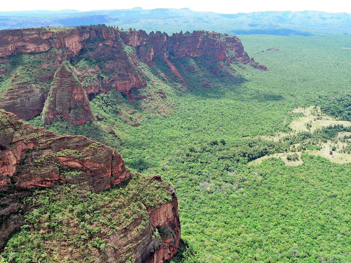 Cerrado Savannas (NT13)