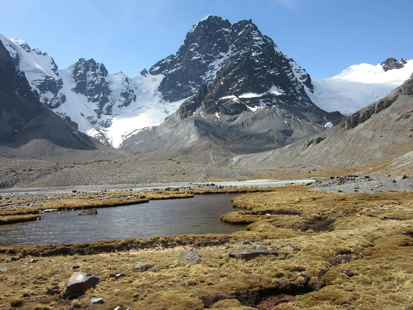 Andean Mountain Grasslands (NT5)