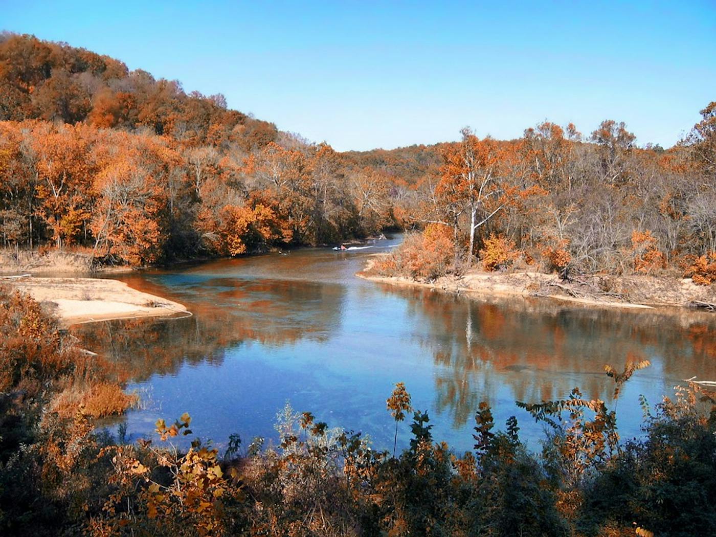 Ozarks Mixed Forests (NA22)