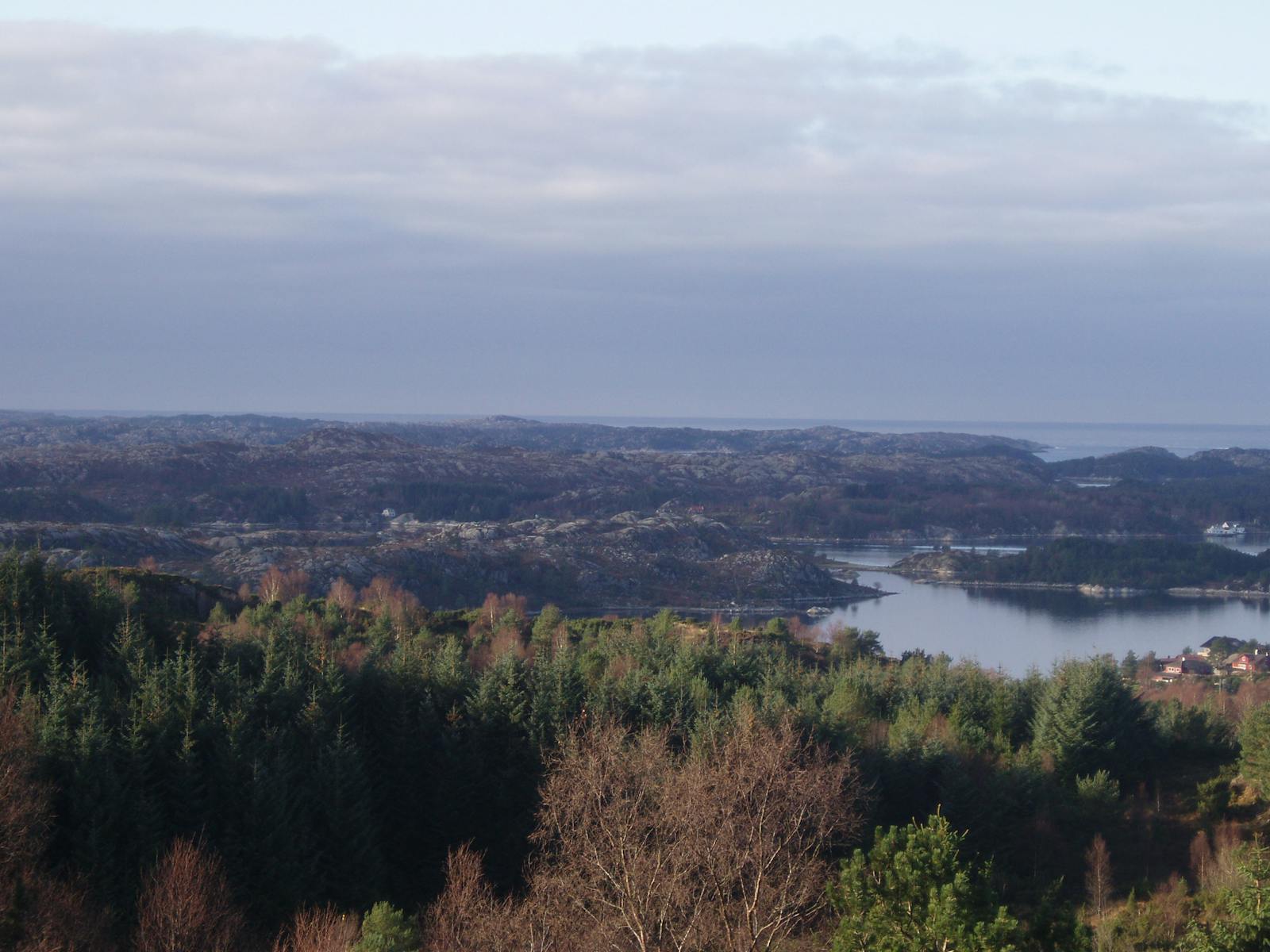 Scandinavian Coastal Conifer Forests
