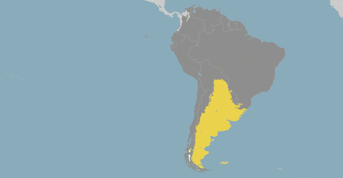 South American Grasslands