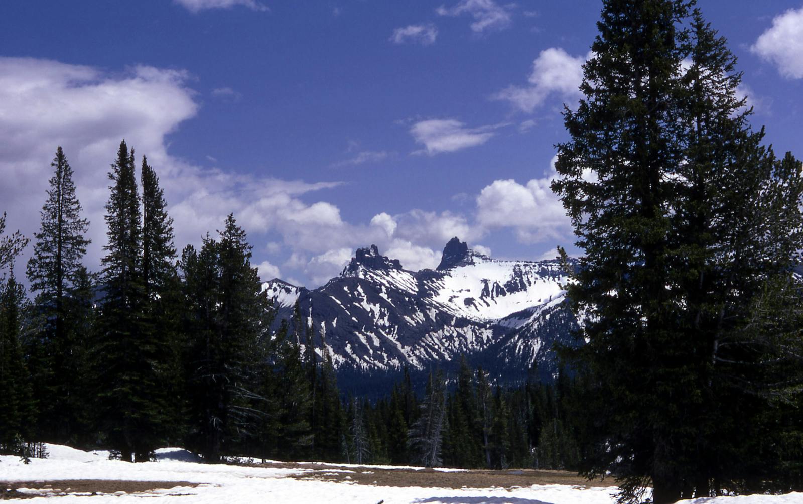 South Central Rockies Forests