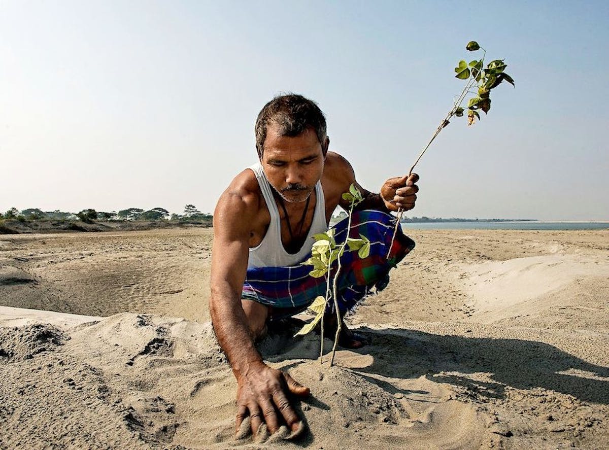 "We are all connected," The wisdom of Jadav Payeng, India's Forest Man