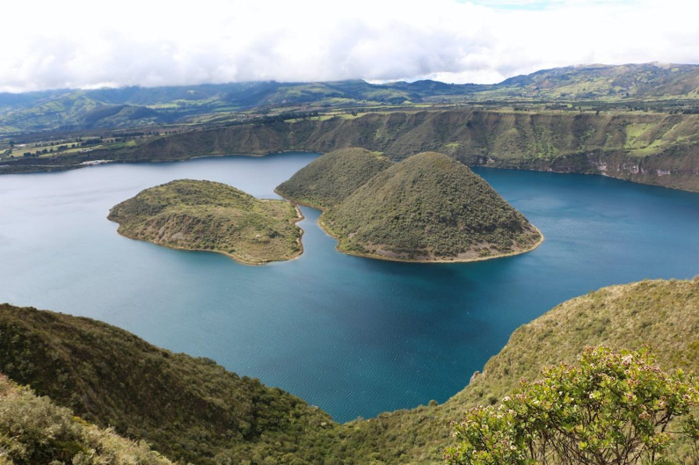 Andean Mountain Forests & Valleys (NT11)