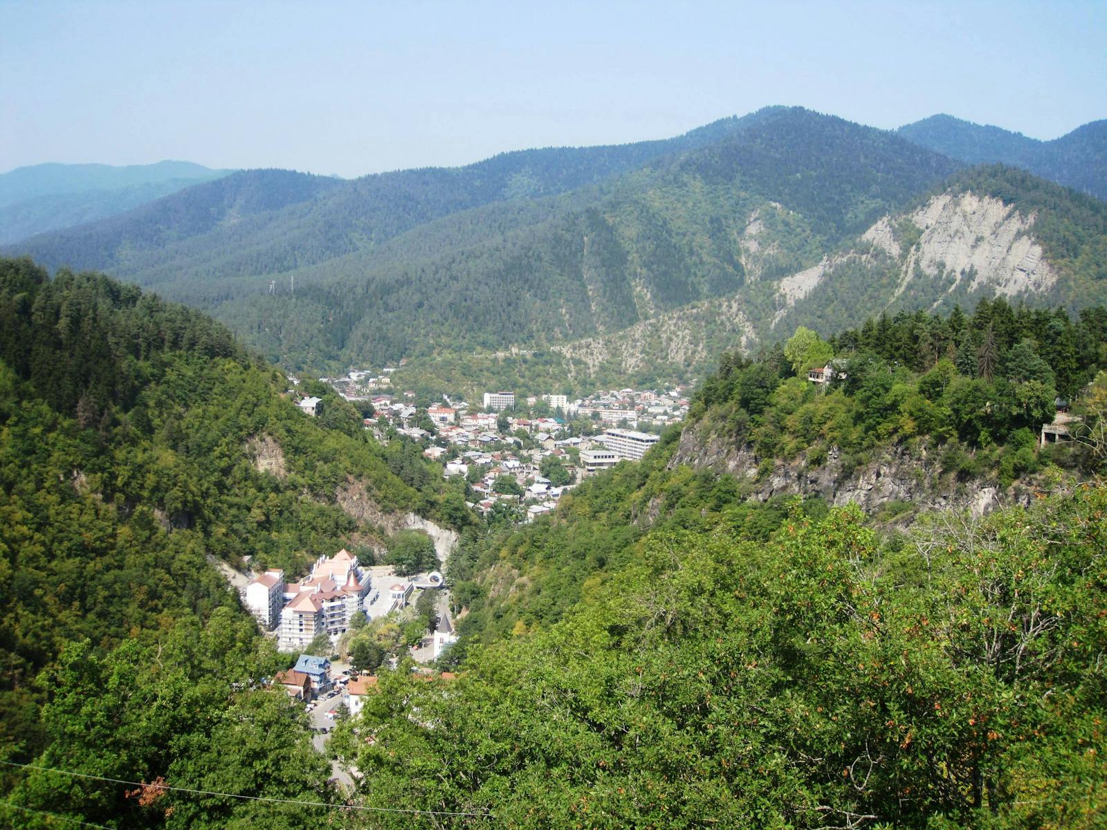 Caucasus Mixed Forests