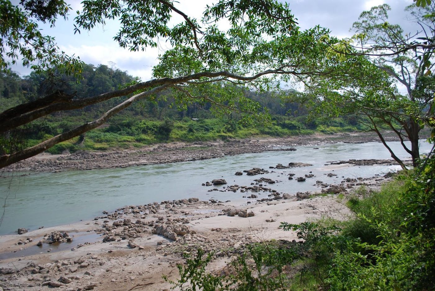 Yucatan & Veracruz Mixed Forests (NT27)