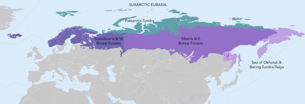 Subarctic Eurasia
