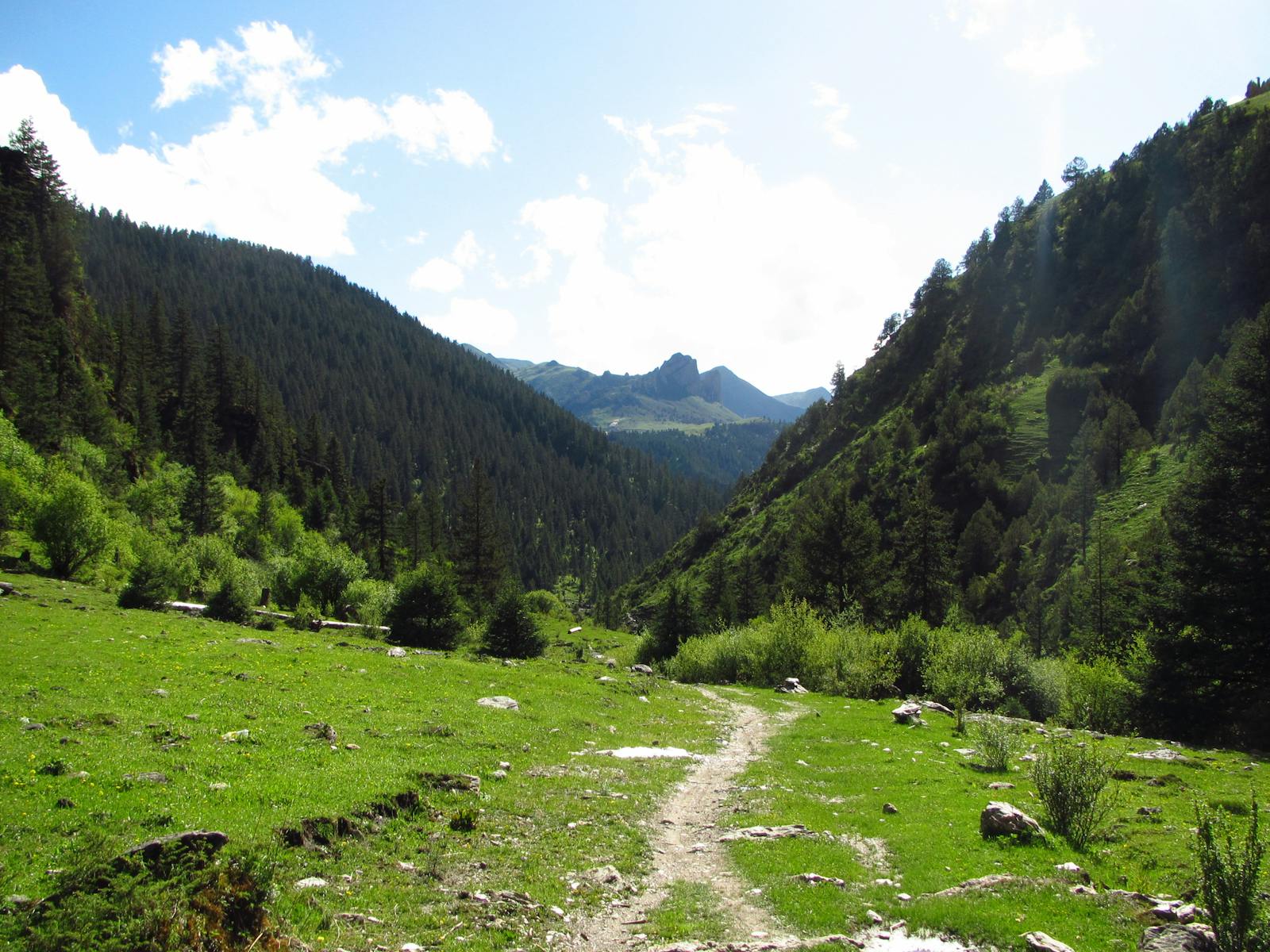 Hengduan Mountains Subalpine Conifer Forests