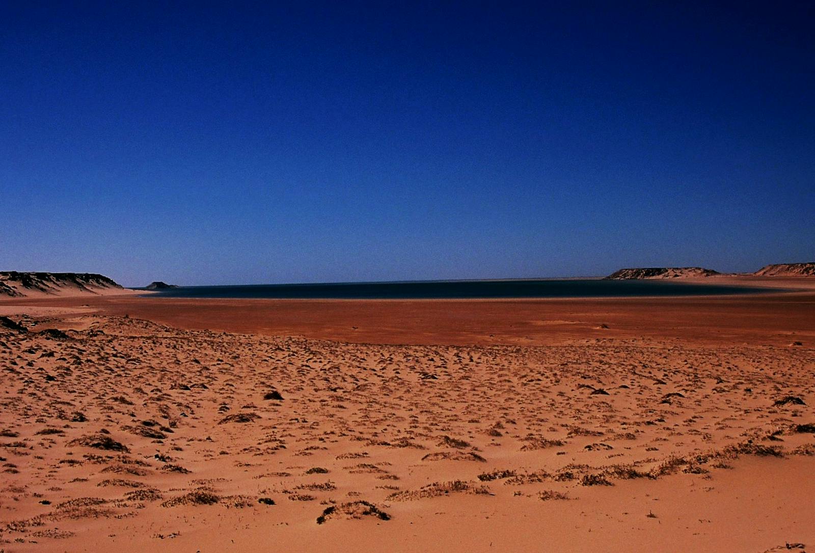 Saharan Atlantic Coastal Desert