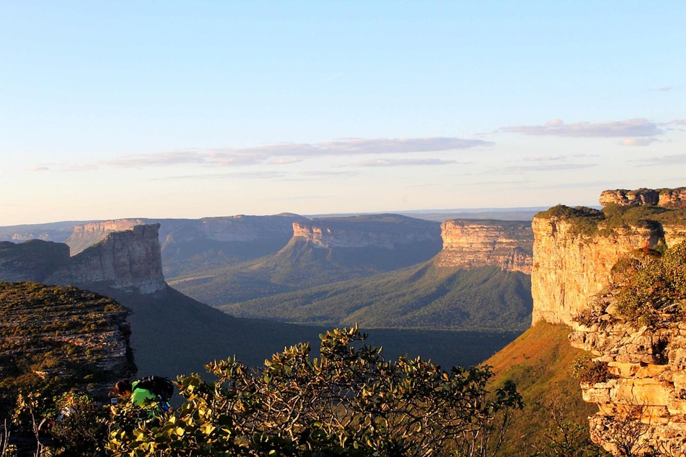 Cerrado Savannas (NT13)