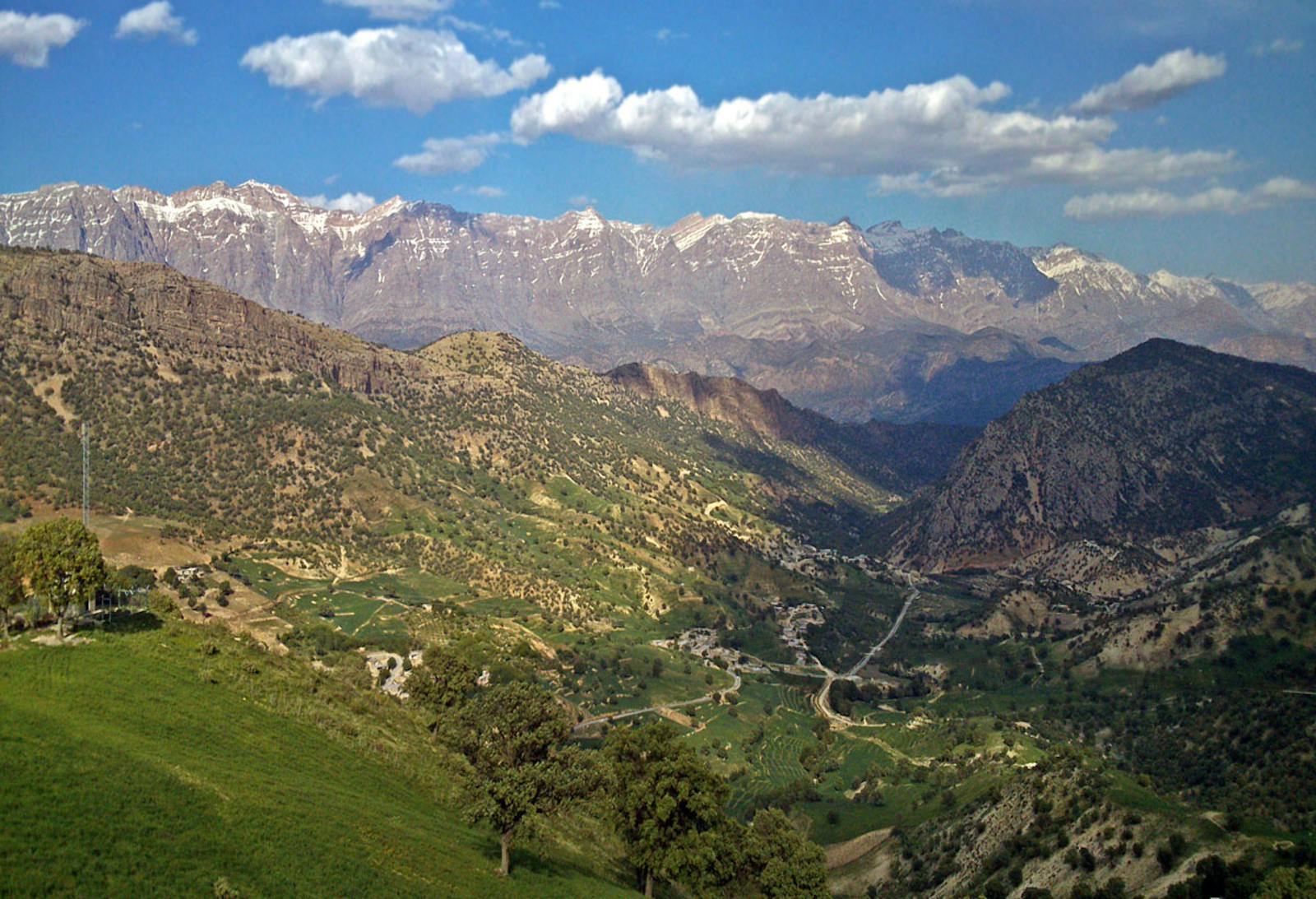 Zagros Mountains Forest Steppe