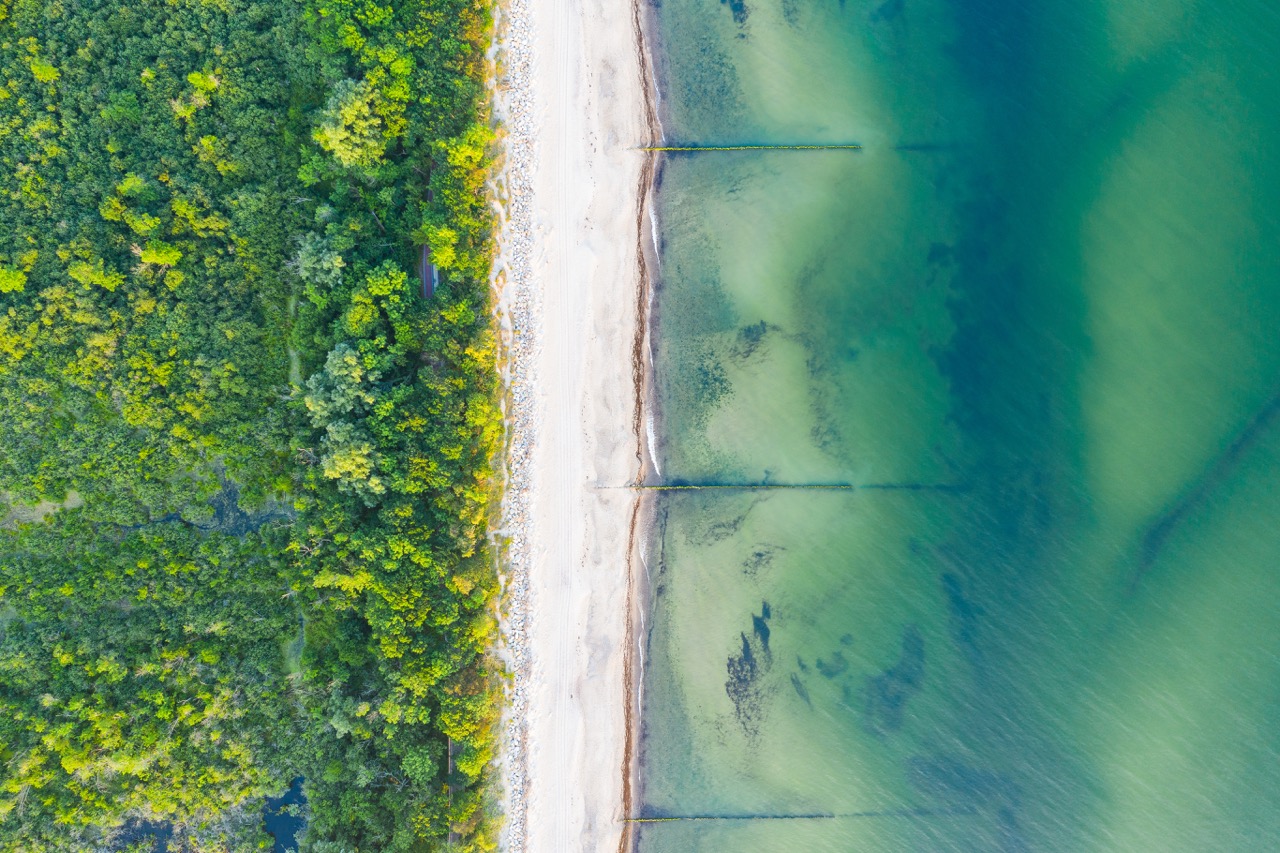 sea, beach and mangroves By Artur Golbert
