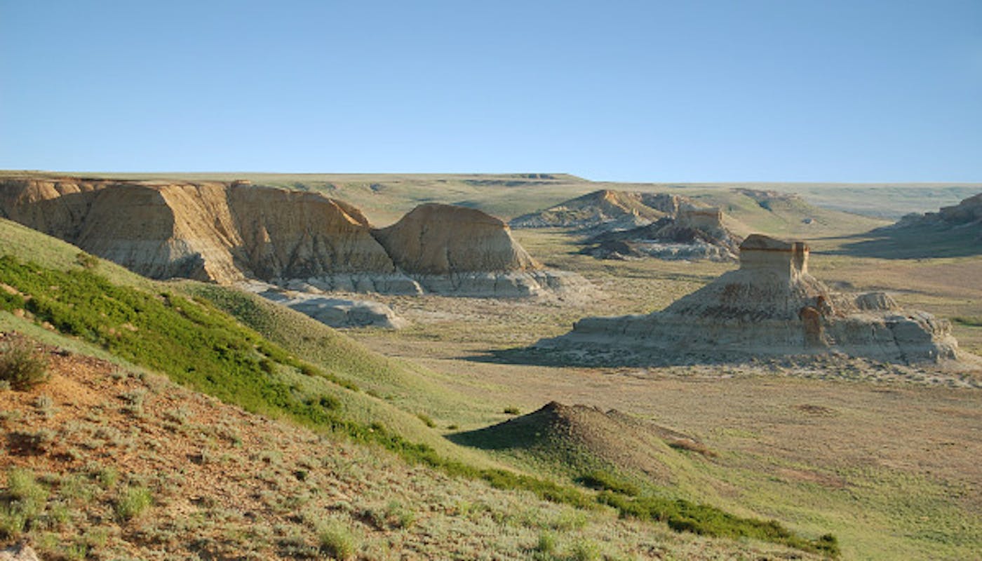 Central Asian Deserts & Riparian Woodlands (PA32)