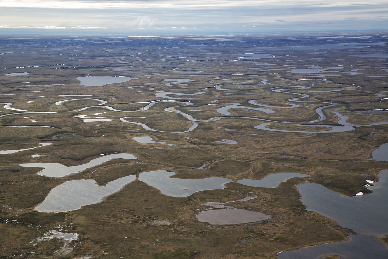 Прибрежные равнины. National Petroleum Reserve in Alaska (NPRA). Thaw in lending.