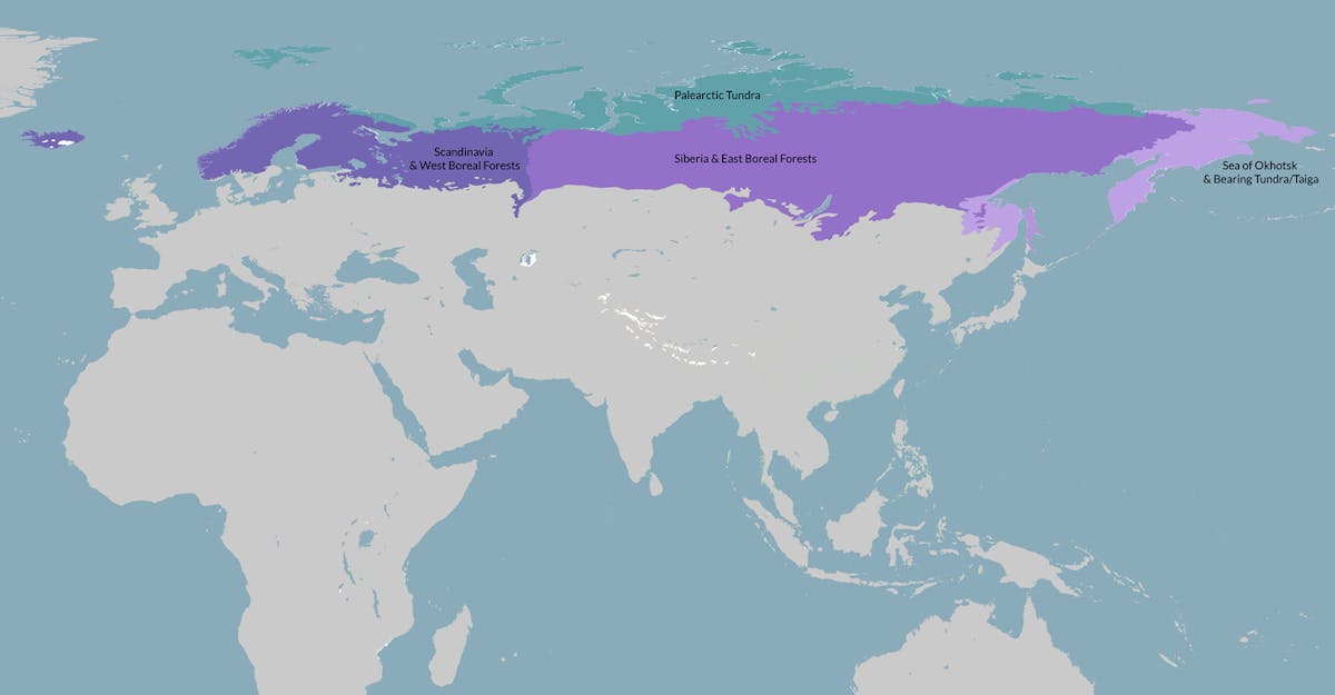 siberian desert map