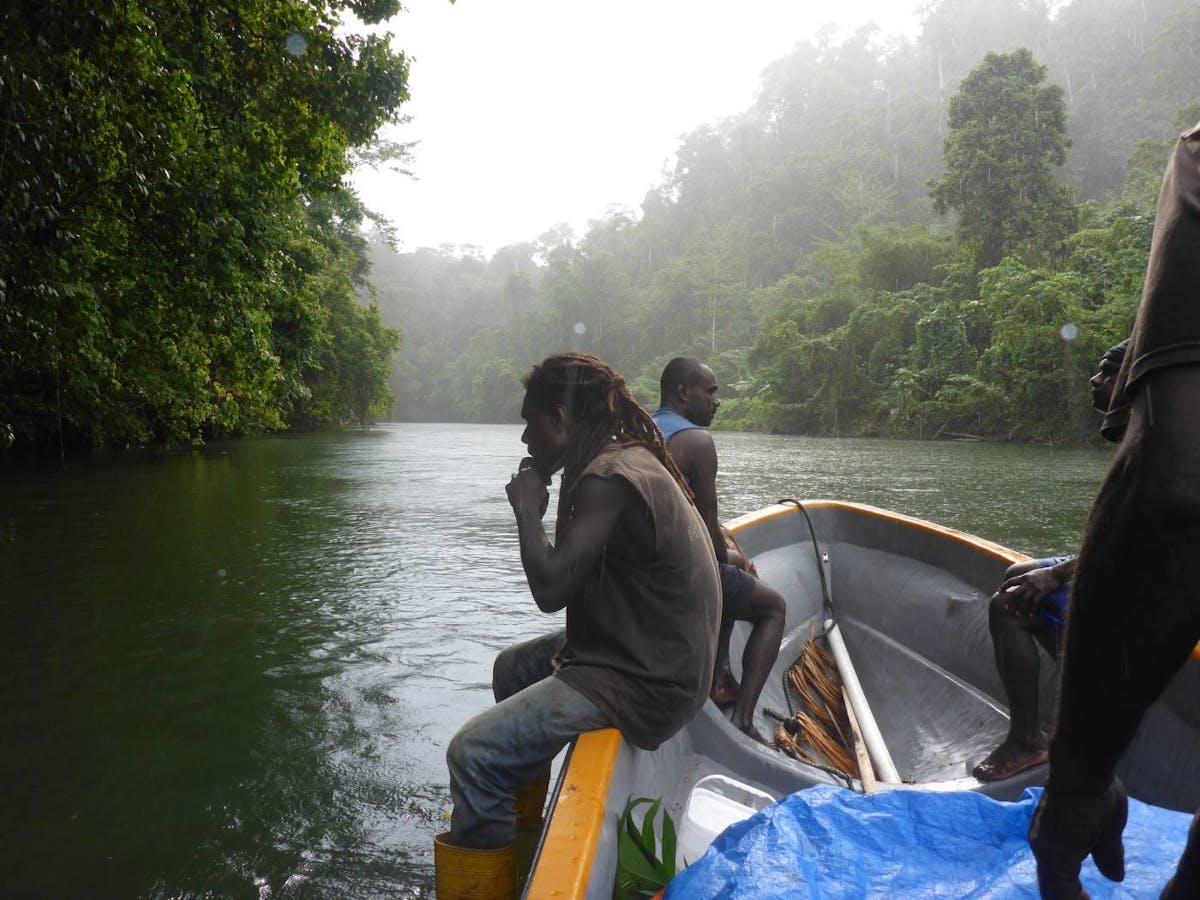 Indigenous peoples join forces to save the rainforest from loggers