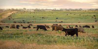 Sustainable Rangelands